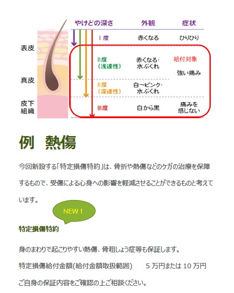 え！やけども給付金